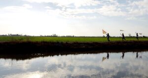 Calls grow for designated kite-flying areas to protect motorists