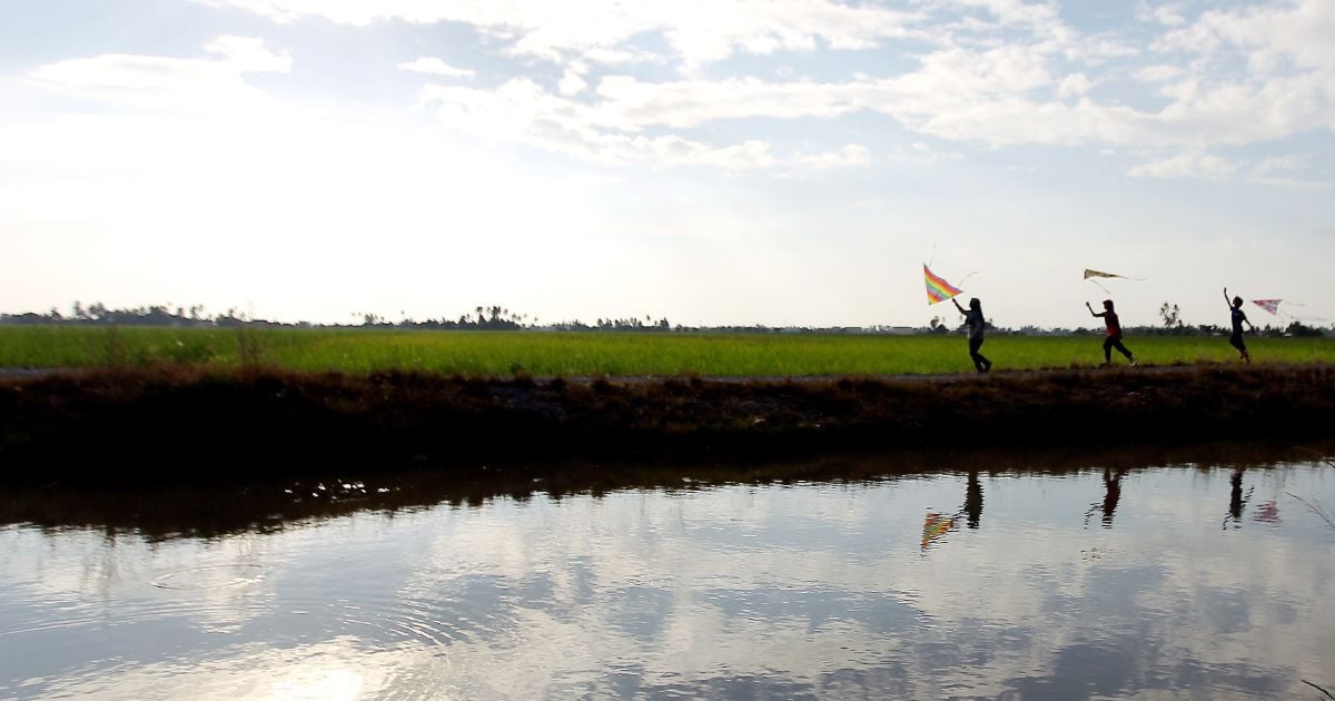 Calls grow for designated kite-flying areas to protect motorists