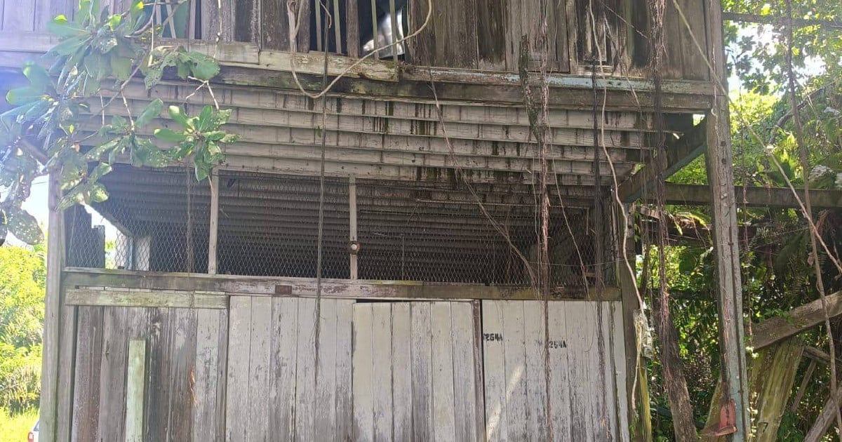 Human remains found in wooden house, believed to be ex-assemblyman's son