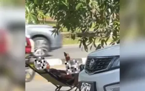 Cover Image for Penang cops tracking 3 men in assault captured on video