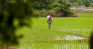 Narrowing the gap: 13MP to prioritise rural economy, basic infrastructure