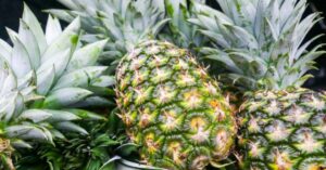 Pineapple industry board backs move to expand exports to New Zealand