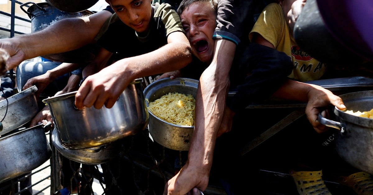 'Enough is enough': UN food agency calls for urgent aid revival in Gaza
