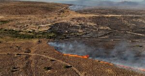'Silent killer': The science of tracing climate deaths in heatwaves