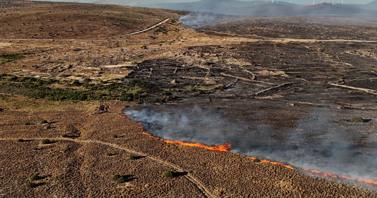 'Silent killer': The science of tracing climate deaths in heatwaves