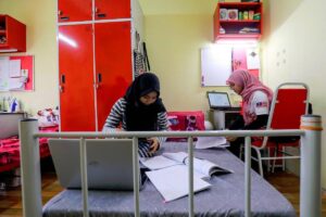 402 public university students referred for counselling in 2024