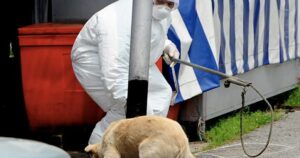 6-year-old second person to die from rabies in Sarawak