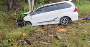 7 siblings orphaned after parents killed in car crash