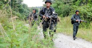 71 rat trails in Sarawak bordering Kalimantan found, says home minister