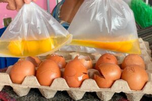 95 dijangkiti Salmonella di AS, telur ditarik balik