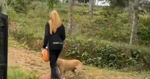 After half a year, dogs prove a family's bond never fades