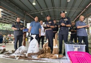 Agarwood trafficking syndicate busted in Melaka, RM106mil seized