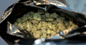 Army foils RM600,000 cannabis smuggling attempt at Thai border