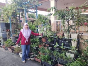 Bangunkan kebun mini MAHA di rumah