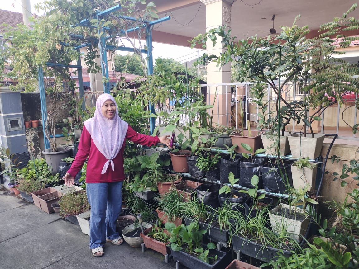 Bangunkan kebun mini MAHA di rumah