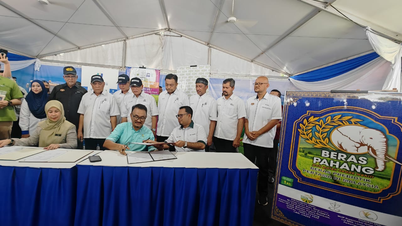 Beras Pahang, beras prebiotik pertama negara