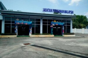 Biotoksin melebihi had selamat, JPNS ambil sampel kedua kupang di Port Dickson