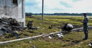 Bird strike link in RMAF jet crash