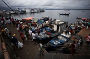 Brazil's fish industry, hit with a 50% US tariff, seeks a lifeline