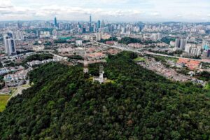 Bukit Dinding, Pulai Trail to be gazetted as forest reserves