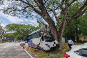 Bus carrying 30 pupils, five teachers crashes into a tree in Serdang