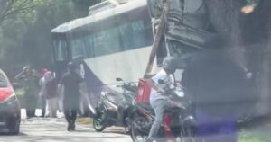 Bus carrying preschoolers crashes into tree, 4 injured [WATCH]
