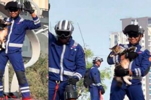 Cat named Shimba steals show at National Day Parade