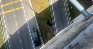 College student killed after being flung off DASH highway