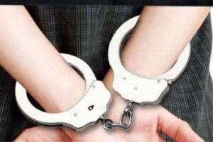Cops nab foreigner suspected of molesting girl in Rawang