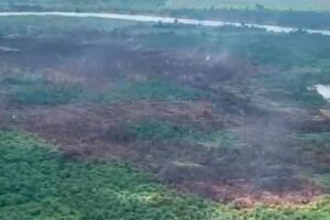 Downpour extinguishes Marudi wildfires after 10 days