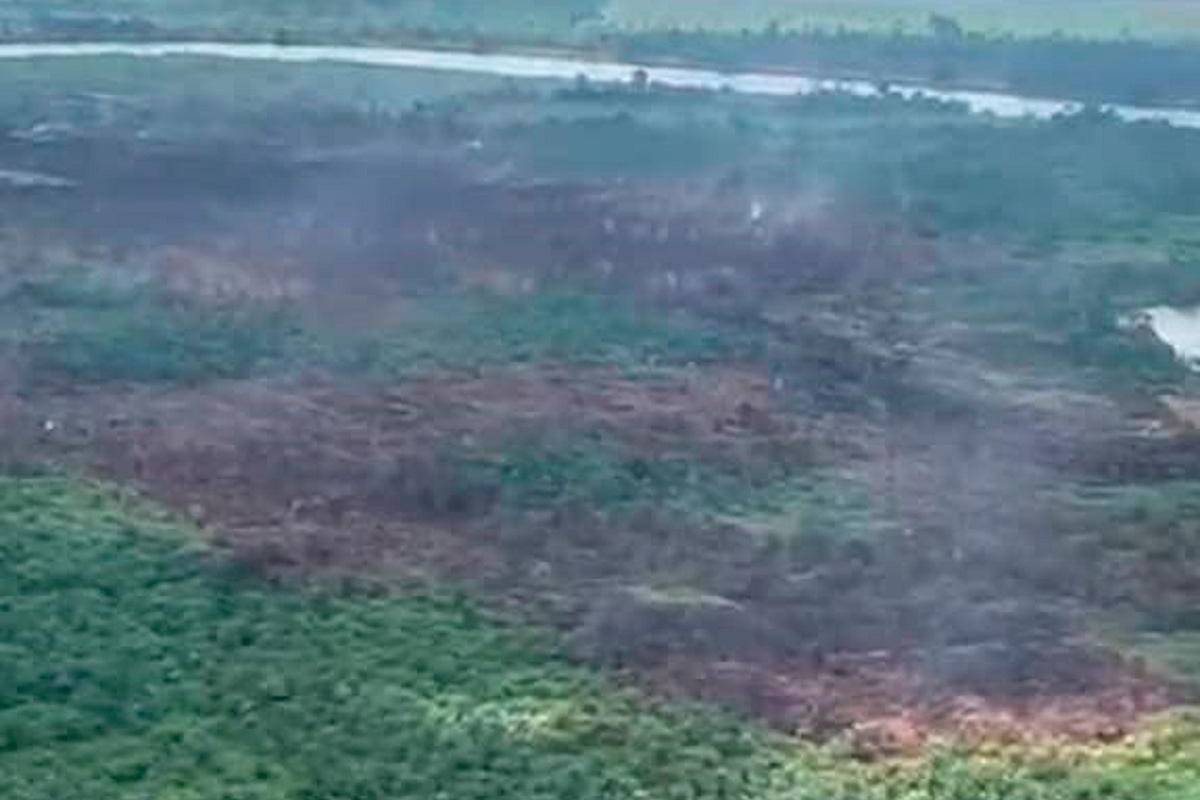 Downpour extinguishes Marudi wildfires after 10 days