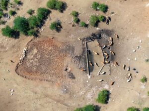 Drought stalks Serbia, harming livestock