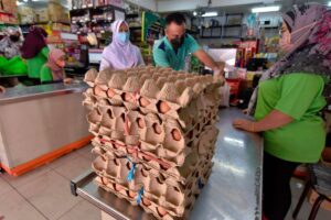 Egg prices stable after subsidy removal in Malaysia