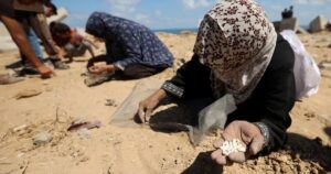 Egypt's Sisi says Israel's war in Gaza a 'systematic genocide'