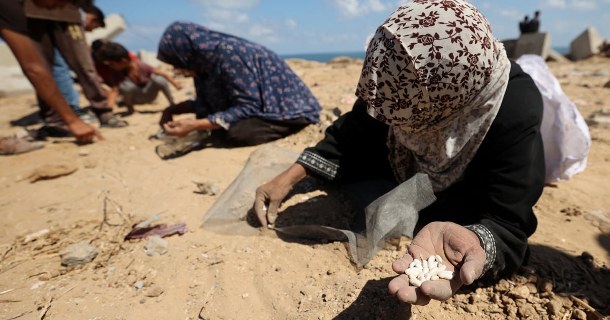 Egypt's Sisi says Israel's war in Gaza a 'systematic genocide'
