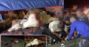 Eight held over Bukit Besi cattle theft