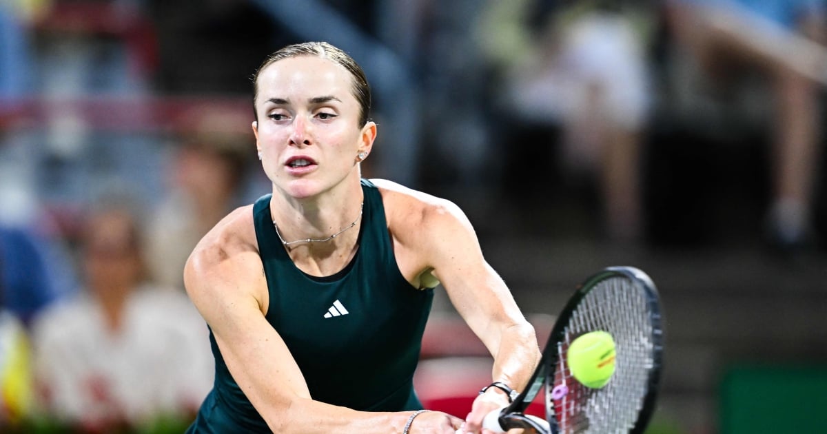 Elina Svitolina slams bettors for 'shameful' abuse after loss