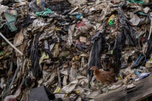 Exclusive-Trump administration memo urges countries to reject plastic production caps in UN Treaty
