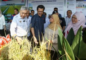 Felcra Berhad catat untung boleh agih RM101 juta