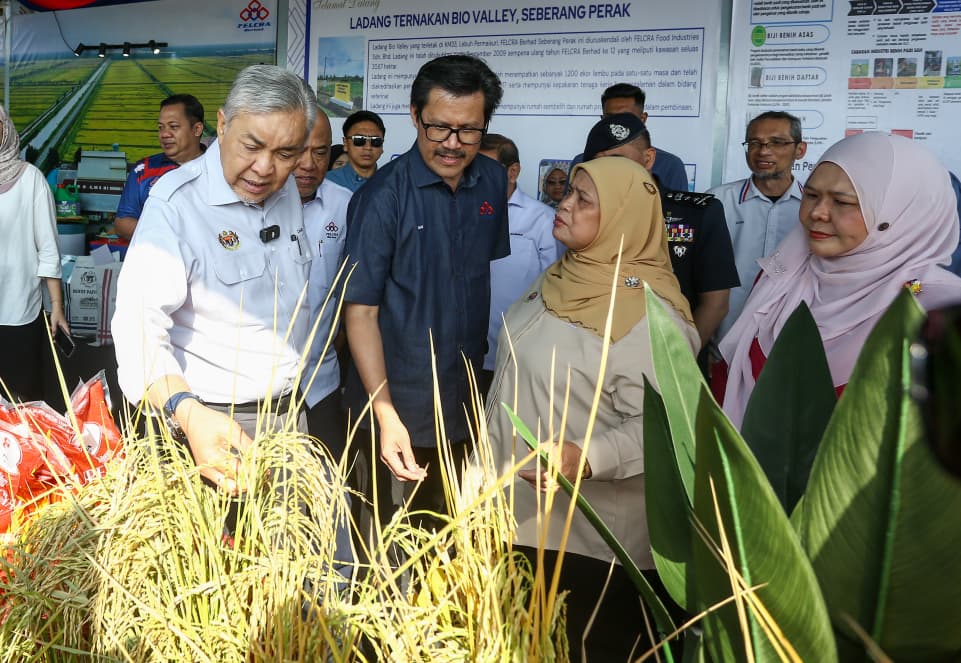 Felcra Berhad catat untung boleh agih RM101 juta
