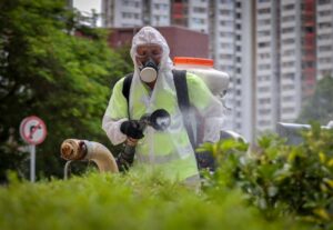 Fighting chikungunya in Hong Kong: why do experts reject mosquito ‘weaponising’?