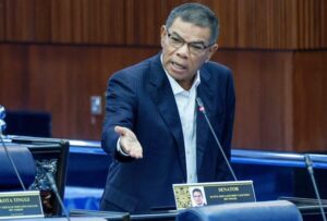 Government holds 17,896 immigration detainees as of July 6, says Saifuddin