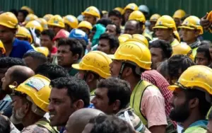 Govt reopens foreign worker quota application for selected sectors, subsectors