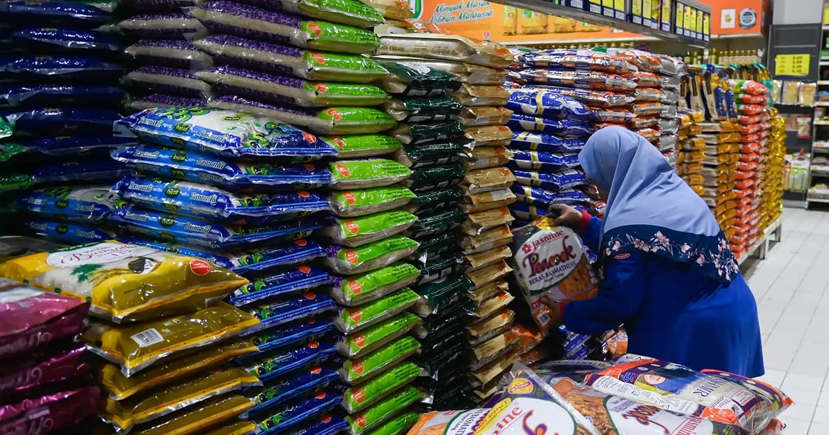 Govt to review local white rice supply strategy as subsidies end