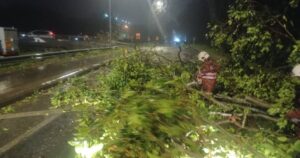 Heavy rain, strong winds cause fallen trees in Selangor