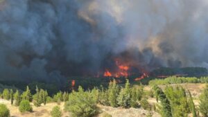 Hundreds evacuated in northwestern Turkey as authorities fight wildfires