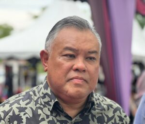 Isu Jalur Gemilang: Terus ambil tindakan, jangan biar berlanjutan - Rozabil
