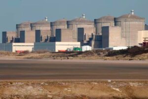 Jellyfish swarm forces shutdown at French nuclear plant