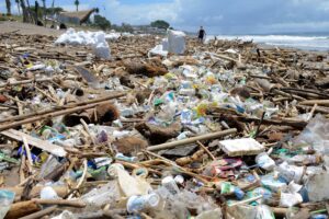 Jerebu, sampah jadi dua musim baharu bumi