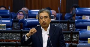 Johari: Failure to replant oil palms can jeopardise sector